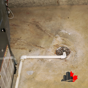 Image showcasing Sewage Backups in Basement Drains | Water Damage Toronto